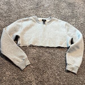 Forever 21 Light Gray Cropped Hoodie